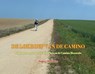 De lokroep van de camino - Hubert Bastiaens - 9789464439991
