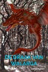 De draak van Walarga - Aafke Pleket - 9789464488685
