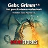 Het grote kinder voorleesboek - Gebroeders Grimm ; Anneke Bloemen ; Nelly Kunst ; Clare Lennart - 9789464490398