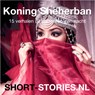 Koning Sheherban - Publiek Domein - 9789464491999