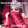 Neroeddin en zijn zoon - Publiek Domein - 9789464492248