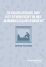 De doorwerking van het strafrecht in het jeugddelinquentierecht - Katrijn Veeckmans - 9789464511123