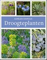 Droogteplanten - Aurélien Davroux - 9789464710151