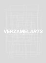 Verzamelarts - Philippe Van Cauteren ; Johan Van Tittelboom ; Paul & Marie-Rose Declercq ; Thibault Schauvliege ; Carina Van Cauter ; Alain Verleysen ; Das Dingenen ; Eric Obrie ; Frans Penne ; Guido De Bruyn ; Ivo Moris ; Jean-Jacques De Gucht - 9789464778021