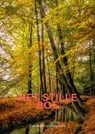 Het stille bos - Hein Dekker - 9789464809275