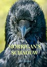 Mórrigan's schaduw - Arie Pieters - 9789464850895