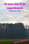 Ik wou dat ik je tegenkwam - Sietse Terpstra - 9789464929386