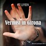 Vermist in Girona - Liz Luyben - 9789464933772