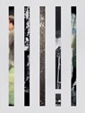 Patrick Ceyssens - Patrick Ceyssens ; Bes Ceyssens ; Nadia Sels ; Johan Wagemans ; Joannes Késenne ; Luk Lambrecht - 9789464943863