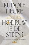 Hoe ruw is de steen? - Rudolf Hecke - 9789464984385