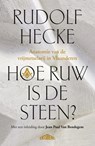 Hoe ruw is de steen? - Rudolf Hecke - 9789464984385