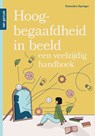 Hoogbegaafdheid in beeld - Emmalien Springer - 9789465070230