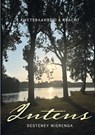 Intens - Desteney Wierenga - 9789465091976