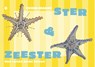 Ster en Zeester - Guido Maass - 9789465092461