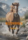 Kleurboek - Hendrik Mourits - 9789465200330