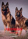 Kleurboek - H. Mourits - 9789465200569