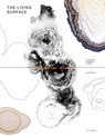 The living surface - Lizan Freijsen ; Ed van Hinte ; Hanneke Gelderblom - 9789490322779