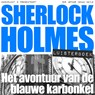 Het avontuur van de blauwe karbonkel - Arthur Conan Doyle - 9789491159091