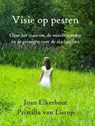 Visie op pesten - Joan Elkerbout ; Priscilla van Lierop - 9789491439209