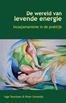 De wereld van levende energie - Inge Teunissen ; Peter Geraedts - 9789491728464