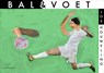 Bal & voet - Jos Houweling - 9789491738388