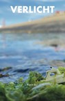 Verlicht - Karin Bijl - 9789491863769