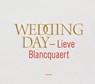 Wedding day - Lieve Blancquaert - 9789492081537