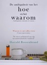 De ambiguïteit van het hoe en het waarom - Harrald Roosenbrand - 9789492247186
