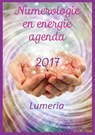 Numerologie en energie agenda 2017 - Klaske Goedhart - 9789492484062