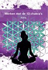 Werken met de 13 chakra's - Kaïra - 9789492866004