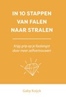 In 10 stappen van falen naar stralen - Gaby Koijck - 9789493355330