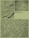 Edges of Landscape - Bas Ketelaars - 9789493363205