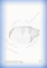 Valse papieren - Valeria Luiselli - 9789493399723