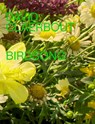 David Claerbout – Birdsong - David Claerbout ; Stefan Hertmans - 9789493416154