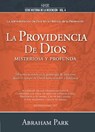 Serie Historia de la Redención Vol. 4 - La Providencia de Dios: Misteriosa Y Profunda - Abraham Park - 9789585163133