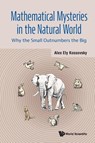 MATHEMATICAL MYSTERIES IN THE NATURAL WORLD - Kossovsky Alex Ely - 9789819803019