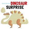 Dinosaur Surprise - A Baruzzi - 9789888341955