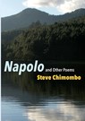 Napolo and other poems - Steve Chimombo - 9789996066788