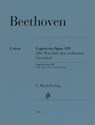Ludwig van Beethoven - Alla Ingharese quasi un Capriccio G-dur op. 129 (Die Wut über den verlorenen Groschen) - Ludwig van Beethoven - 9790201816326