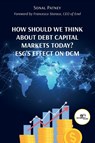 How Should We Think About Debt Capital Markets Today? ESG's Effect On DCM - Sonal Patney - 9791220127080