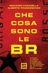 Che cosa sono le Br - Giovanni Fasanella ; Alberto Franceschini - 9791222501086
