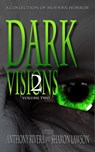 Dark Visions: A Collection of Modern Horror - Volume Two - Anthony Rivera ; Sharon Lawson ; John C. Foster ; Carol Holland March ; Chad McKee ; J. Daniel Stone ; David Blixt ; David Siddall ; C.M. Saunders ; Jane Brooks ; Peter Whitley ; David Murphy ; Kenneth Whitfield ; AA Garrison ; Rhesa Sealy ; JC Hemphill ; - 9798201070182
