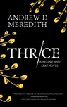 Thrice - Andrew D Meredith - 9798201166854