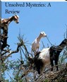Unsolved Mysteries: A Review - Robert J. Williams - 9798201281793