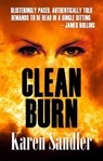 Clean Burn - Karen Sandler - 9798201674809
