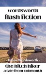 The Hitch Hiker - Diane Wordsworth - 9798201814700