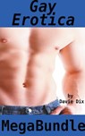 Gay Erotica Mega Bundle - Davie Dix - 9798201930479