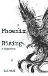 Phoenix Rising - Lee Gray - 9798215091197