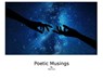 Poetic Musings - mark irwin - 9798215179192