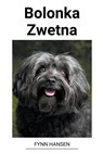 Bolonka Zwetna - Fynn Hansen - 9798215281079
